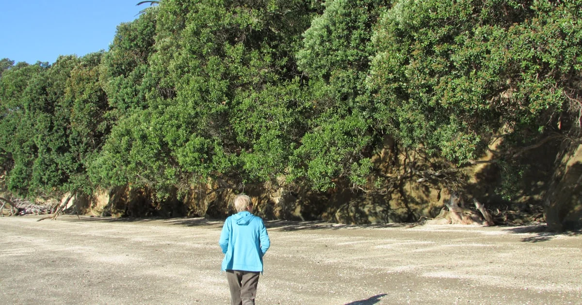 Spa Near Raipur Railway Station, Raipur: Professional Massage and Wellness Close to Home