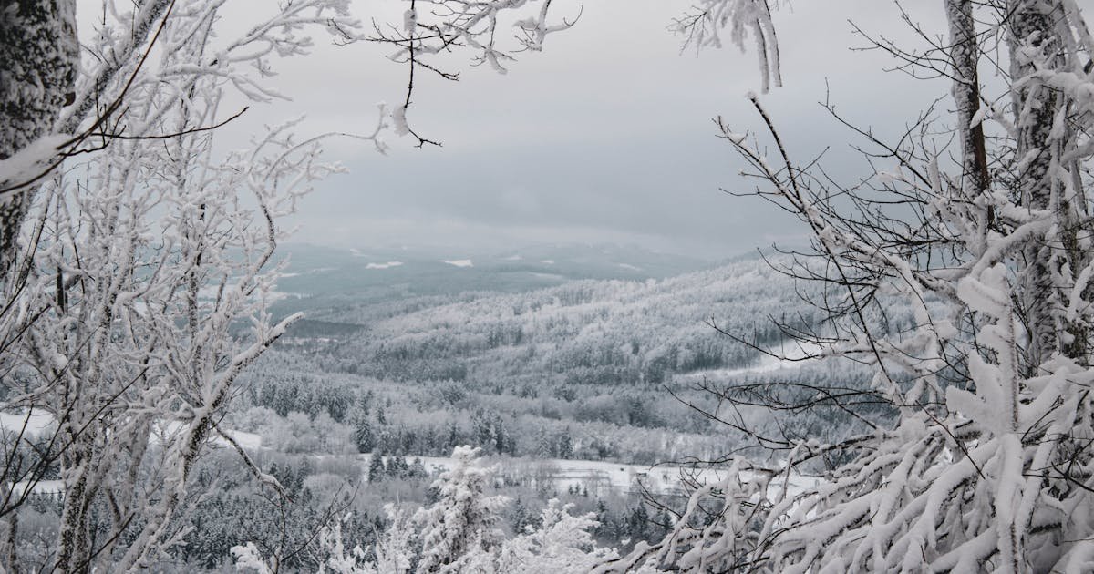 Weekly Wellness Calendar with Spa Integration