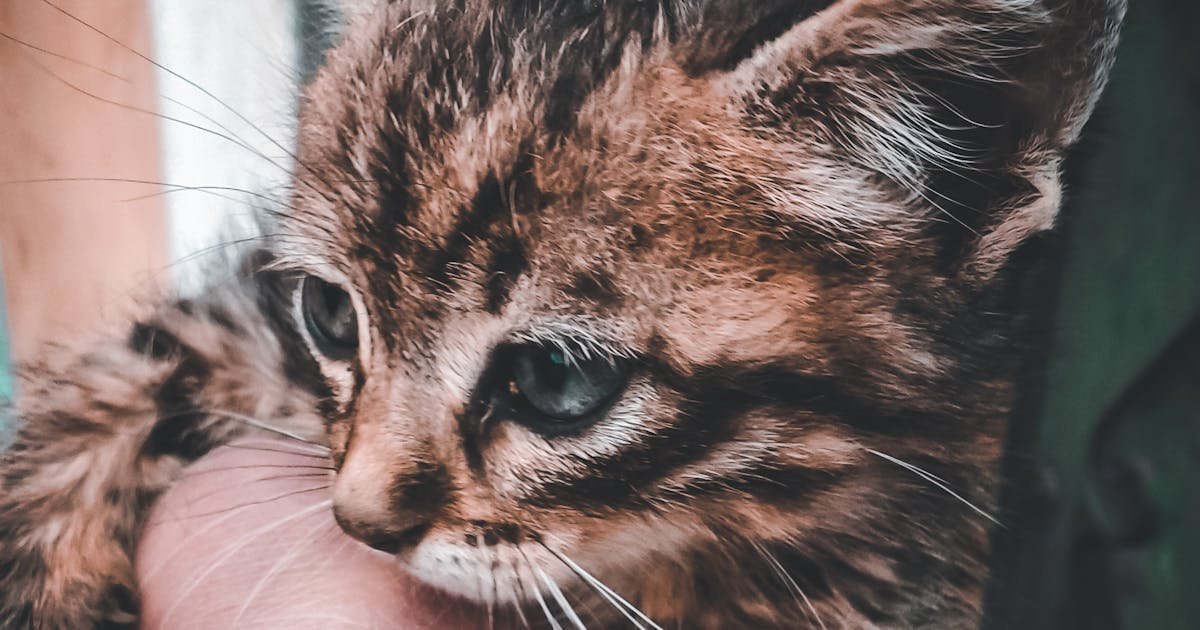 Couples Massage Raipur — Rishte Ko Refresh Karne Ka Sabse Khoobsurat Tarika