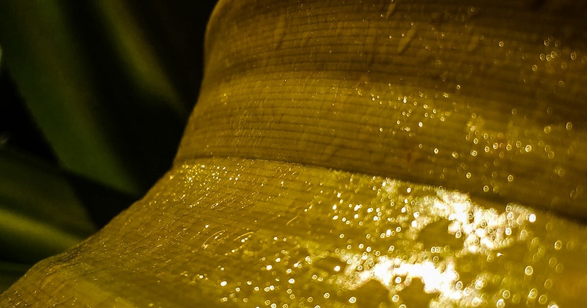 Facial Massage in Raipur: Natural Face Lifting and Anti-Aging Treatment