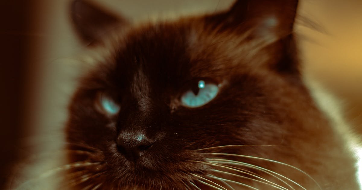 Body Scrub in Devendra Nagar at Raipur SPA