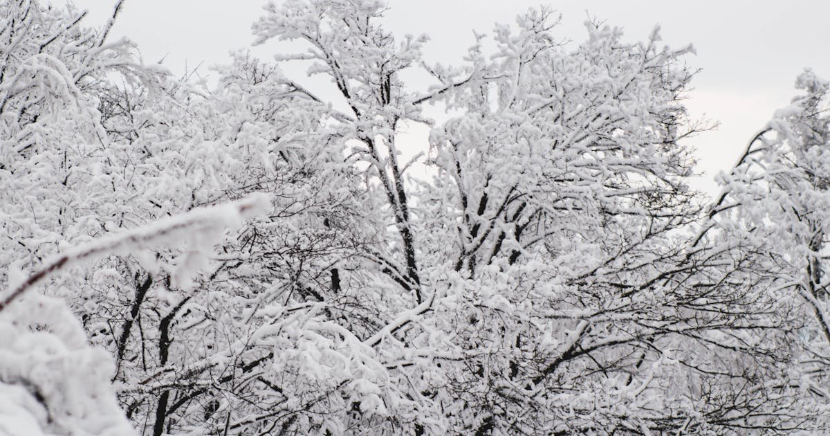 Swedish Massage in Nehru Nagar at Raipur SPA