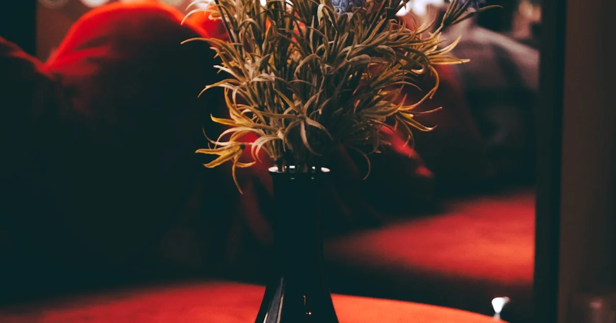 Hot Stone Massage in Raipur - Deep Heat Therapy at Raipur SPA