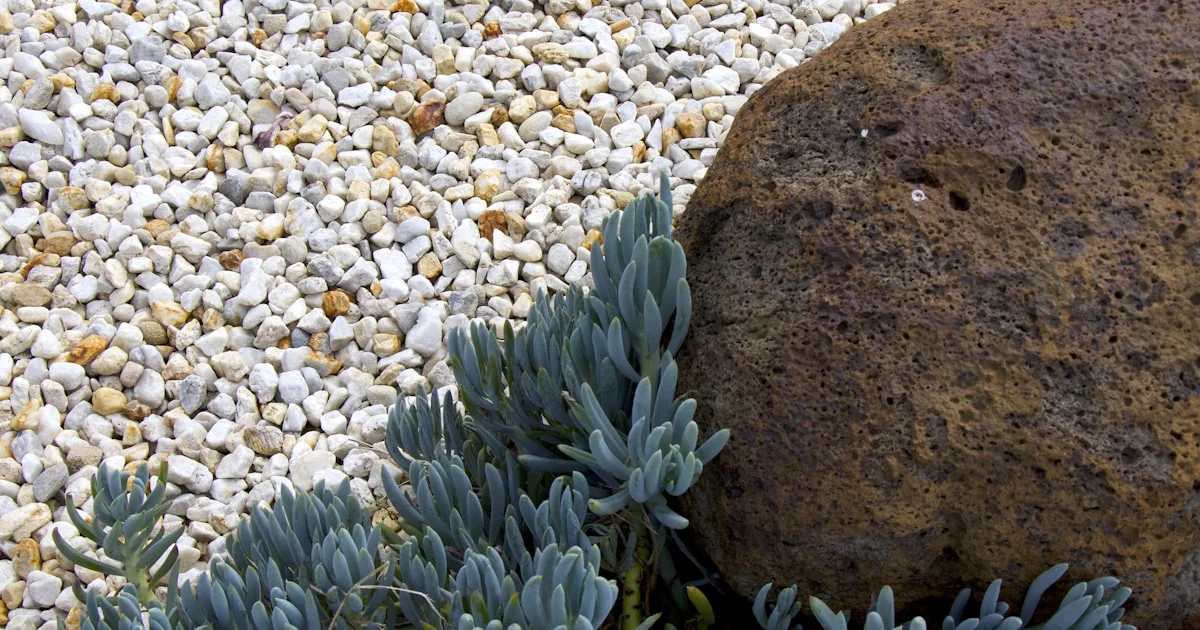 How Often Should You Get a Massage? Expert Advice