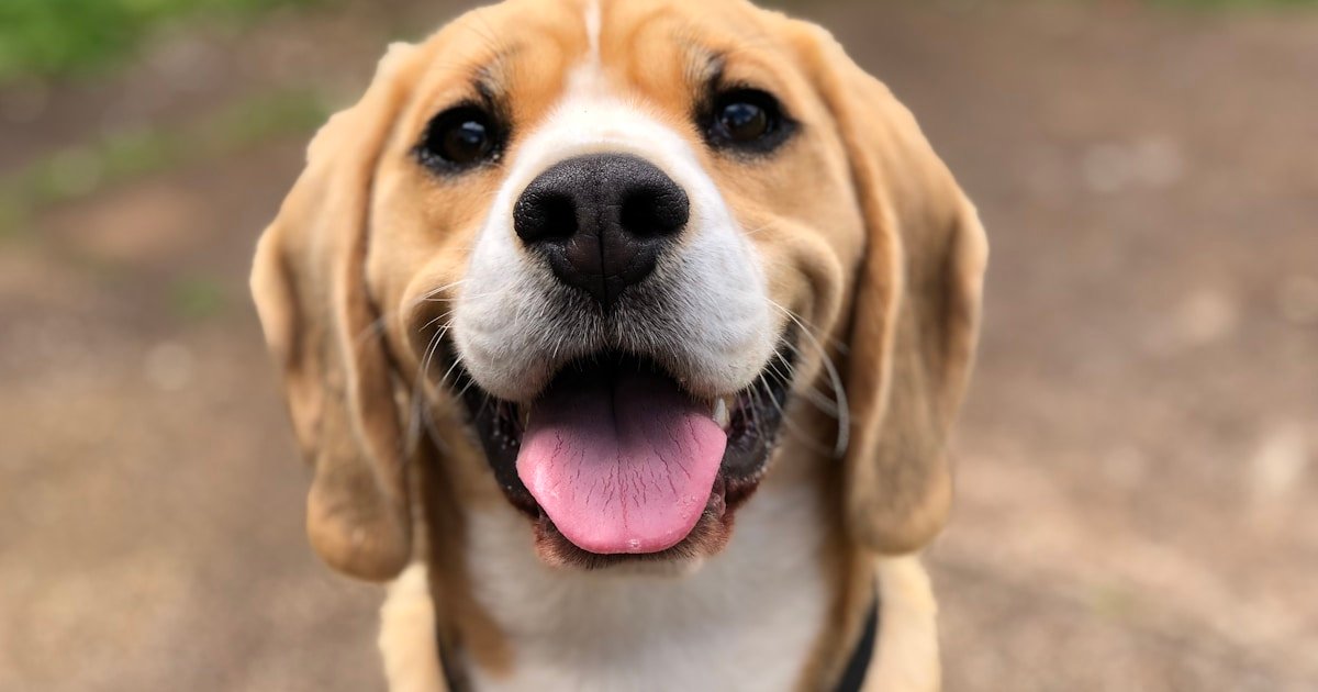 How to Choose the Best Spa in Raipur - Complete Buyer's Guide