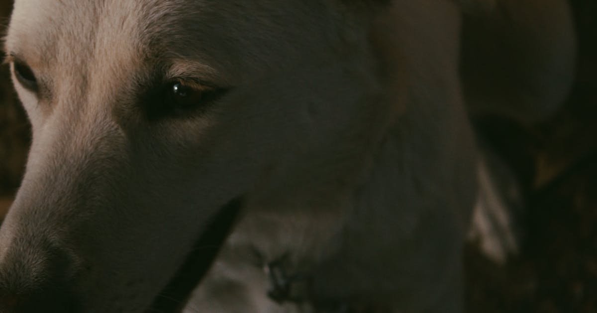 How to Prepare for Your First Deep Tissue Session