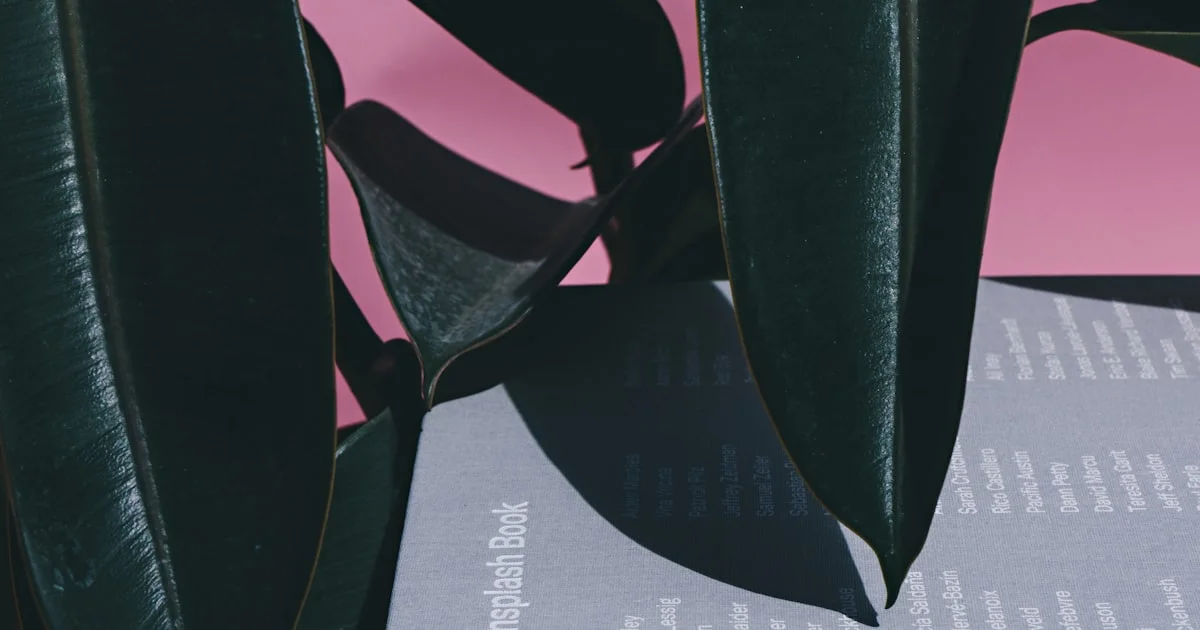 Spa for Women in Raipur - Safe, Relaxing and Trusted Wellness