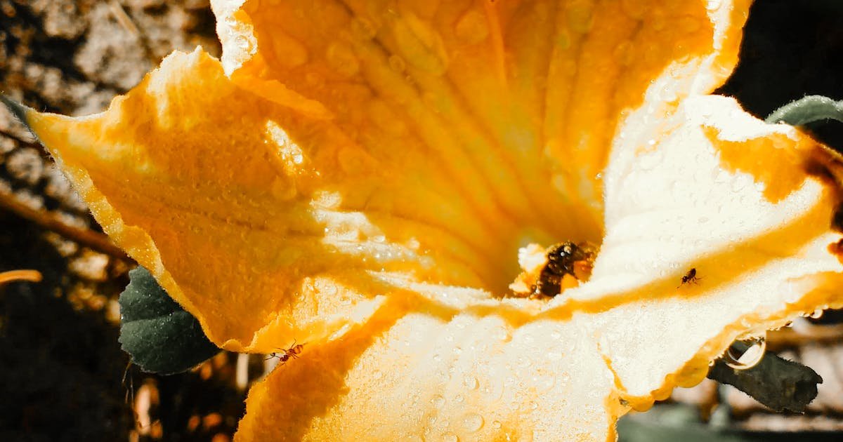 Body Scrub in Civil Lines at Raipur SPA