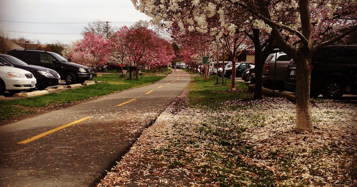 Shirodhara Therapy in Pachpedi Naka at Raipur SPA
