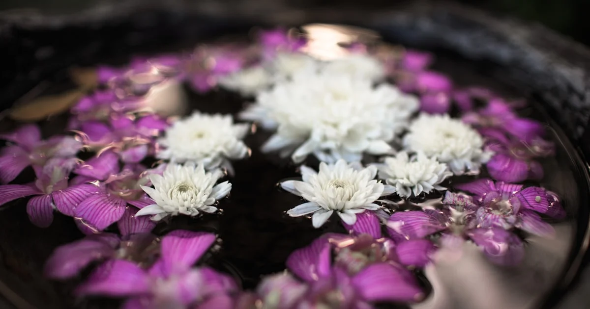 Spa Near Urla, Raipur: Professional Massage and Wellness Close to Home