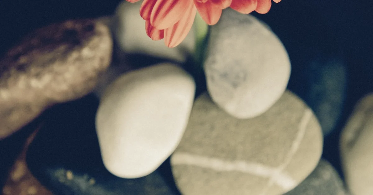 Sports Massage in Raipur - Athlete Recovery and Performance