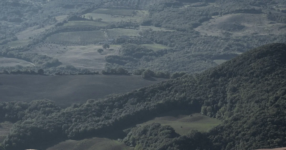 Stress Relief Massage in Raipur - Mental Wellness at Raipur SPA